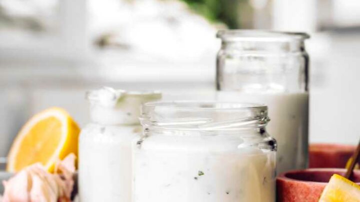 Creamy Vegan Garlic Yogurt Sauce – Nutriciously
