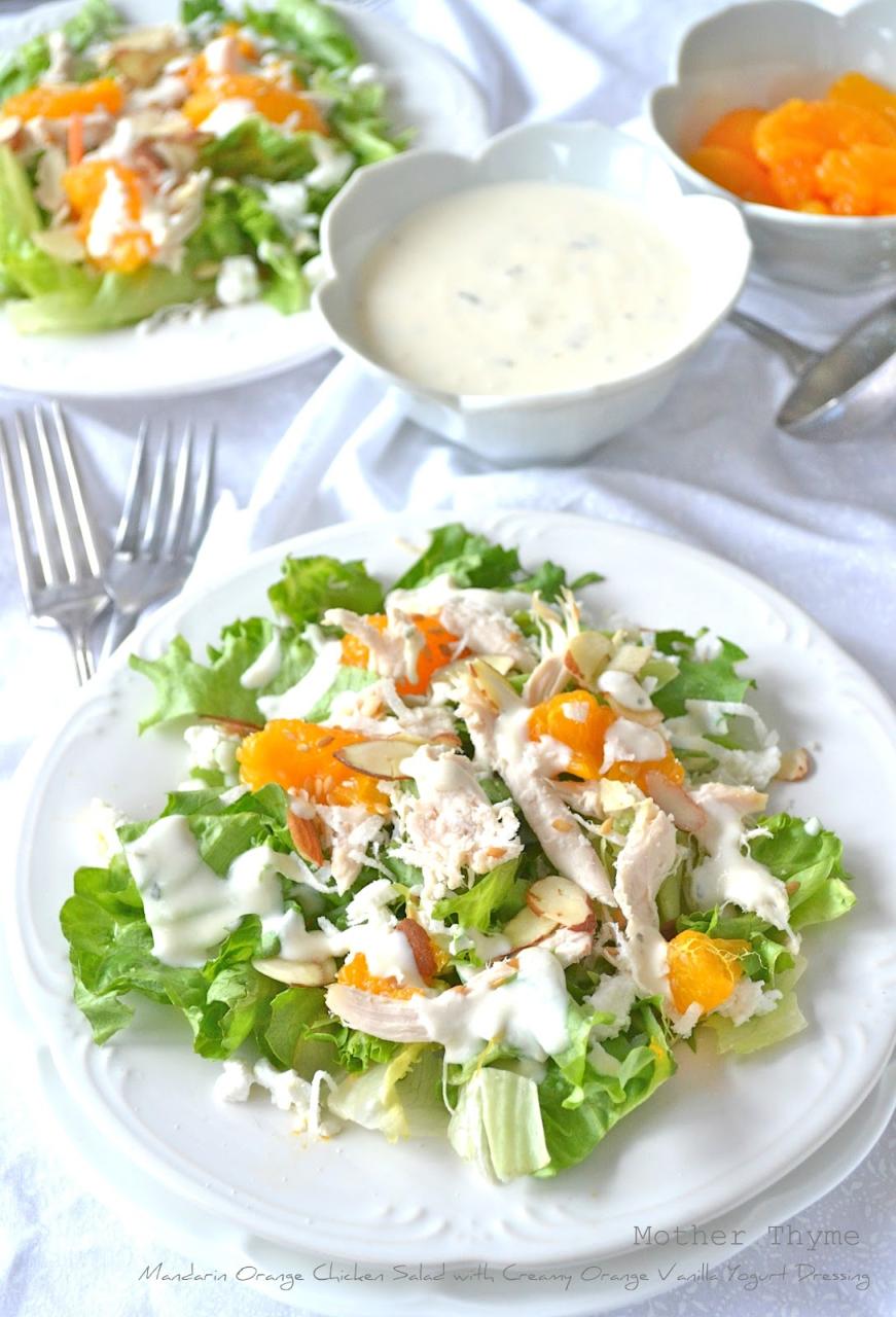 Mandarin Orange Chicken Salad with Creamy Orange Vanilla Yogurt Dressing -  Mother Thyme